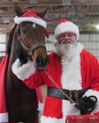 pro santa suit with horse