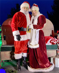 velvet mrs santa outfit